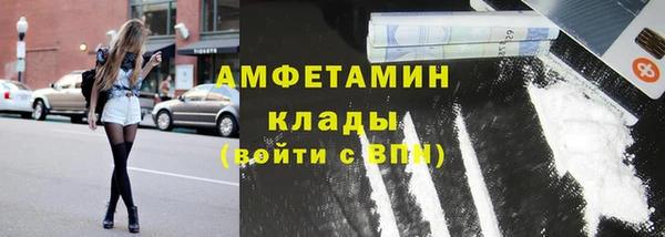 стаф Аркадак