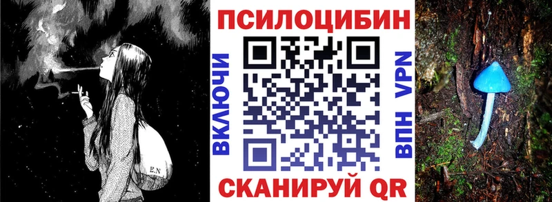 Купить где  Ставрополь  Галлюциногенные грибы Psilocybine cubensis 